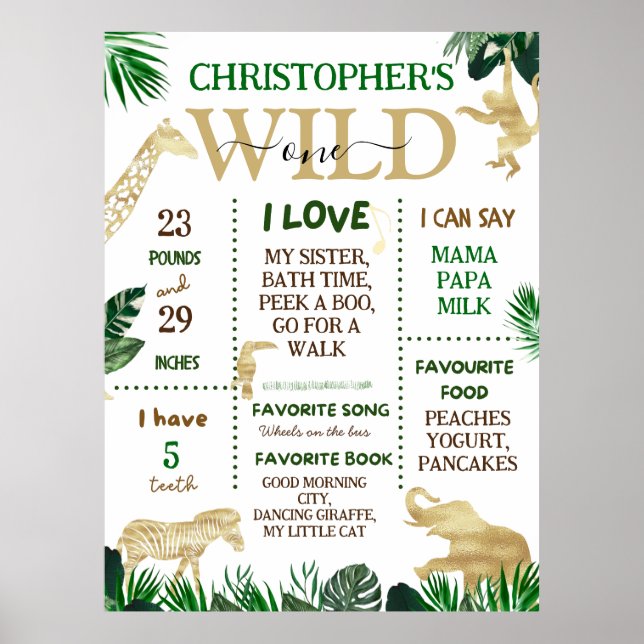 Wild One Safari Theme Birthday Party Poster (Front)
