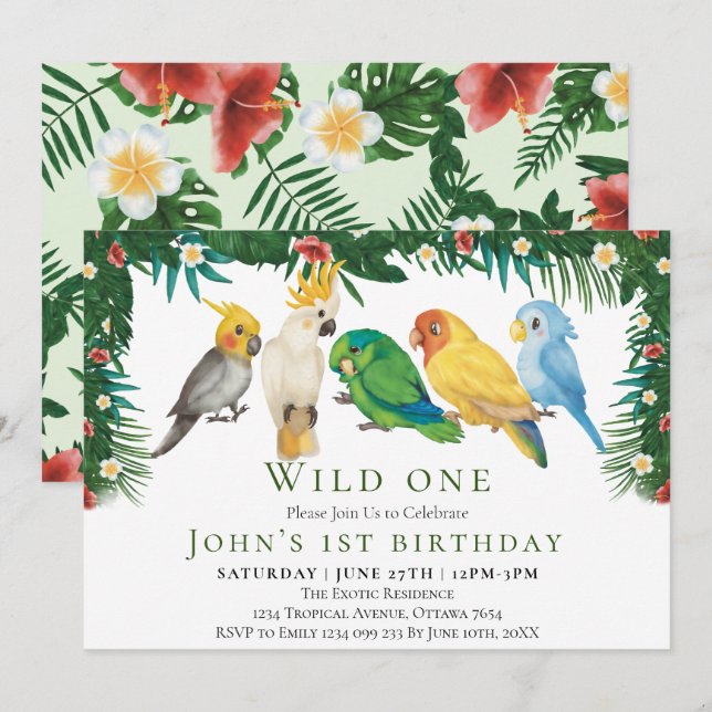Wild One Tropical Exotic Parrots Boy 1st Birthday Invitation (Front/Back)