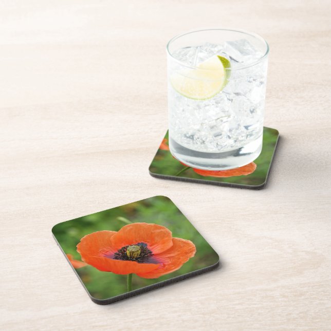 Wild Orange Poppy Flower (NZ) Set of 6 Coaster (Right Side)