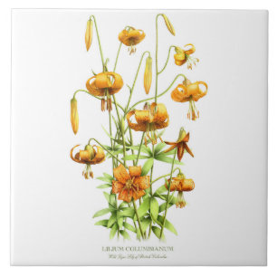 Wild Orange Tiger Lily Floral Botanical Style Art Tile