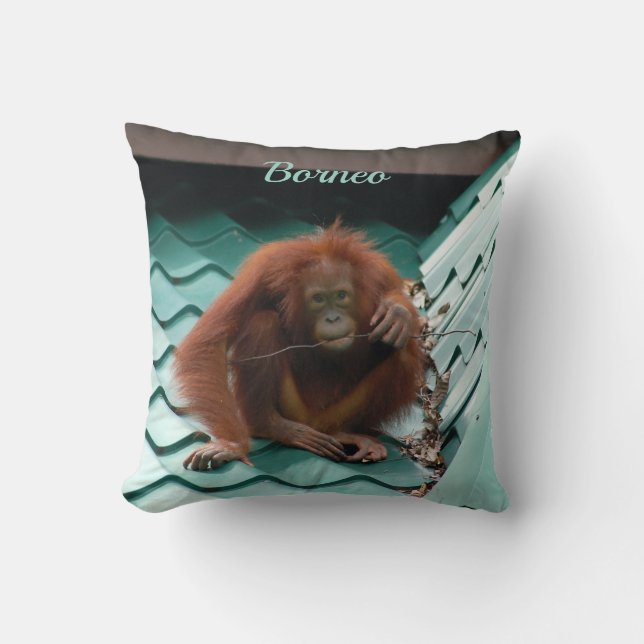 Wild Orangutan Ape on Roof in Borneo Photograph Cushion (Front)