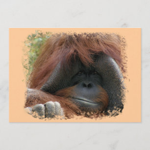Wild Orangutan Birthday Party Invites