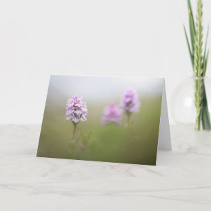 Wild Orchid Nature Photo Card