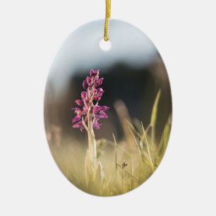 Wild Orchid Nature Photo Ceramic Tree Decoration