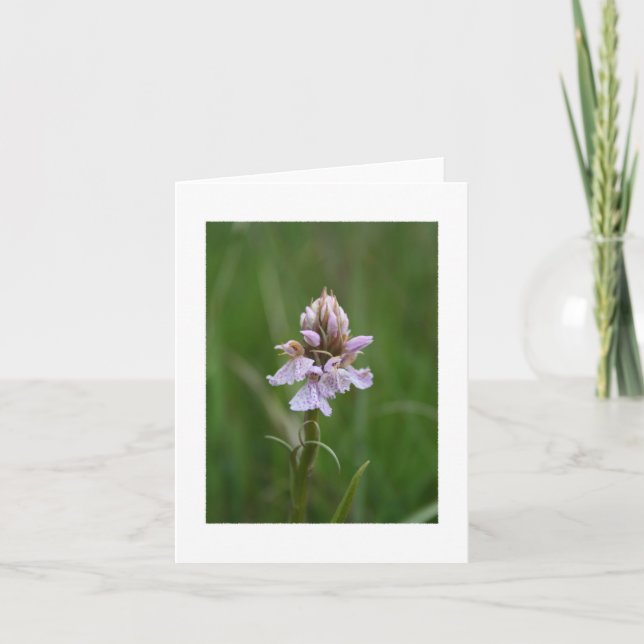 Wild Orchid Notecard (Front)