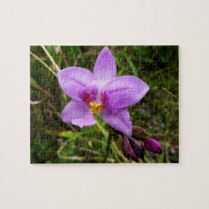 Wild Orchid Purple Tropical Flower Jigsaw Puzzle
