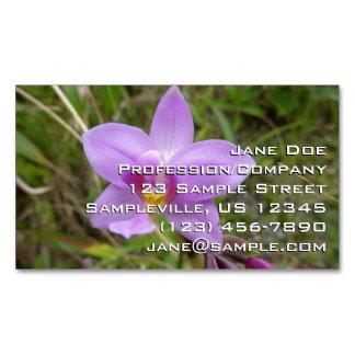 Wild Orchid Purple Tropical Flower Magnetic Business Card