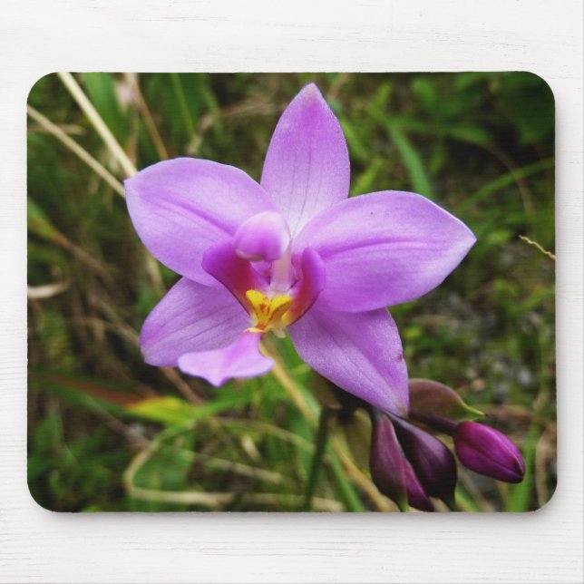Wild Orchid Purple Tropical Flower Mouse Mat (Front)