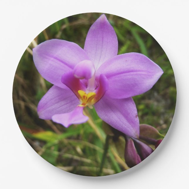 Wild Orchid Purple Tropical Flower Paper Plate (Front)