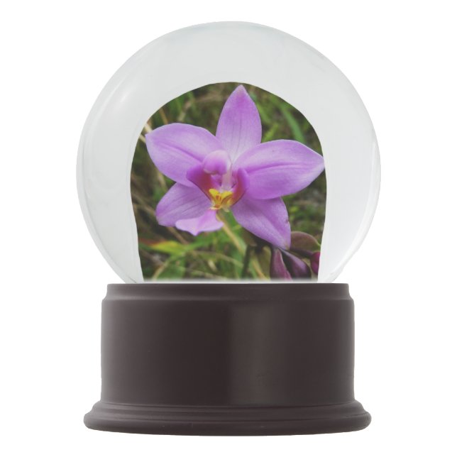 Wild Orchid Purple Tropical Flower Snow Globe (Back)