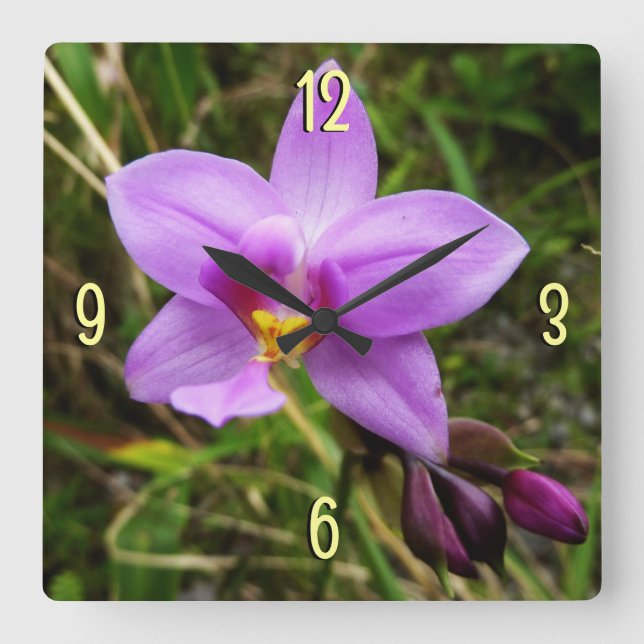 Wild Orchid Purple Tropical Flower Square Wall Clock (Front)
