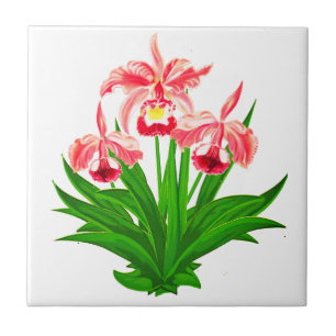 Wild Orchids - Coral Pink Orchids and Foliage  Cer Tile
