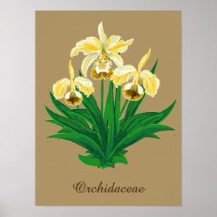 Wild Orchids - Golden Yellow Orchids and Foliage Poster