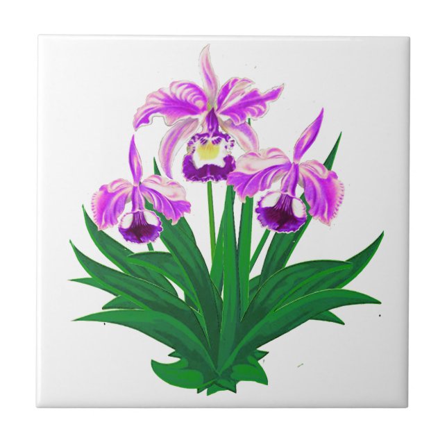Wild Orchids - Light Purple Orchids and Foliage  Tile (Front)