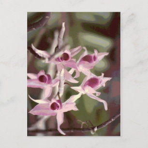 wild orchids postcard