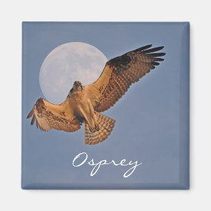 Wild Osprey & Super Moon Photo Design Magnet