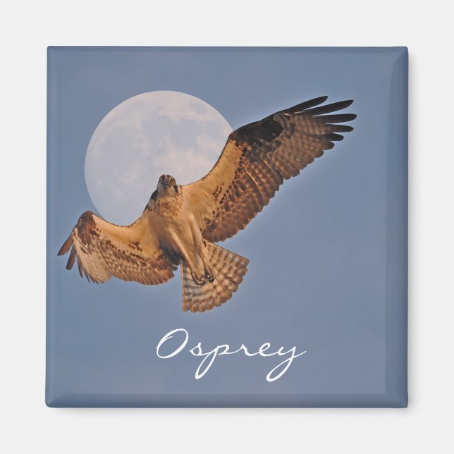 Wild Osprey & Super Moon Photo Design Magnet (Front)