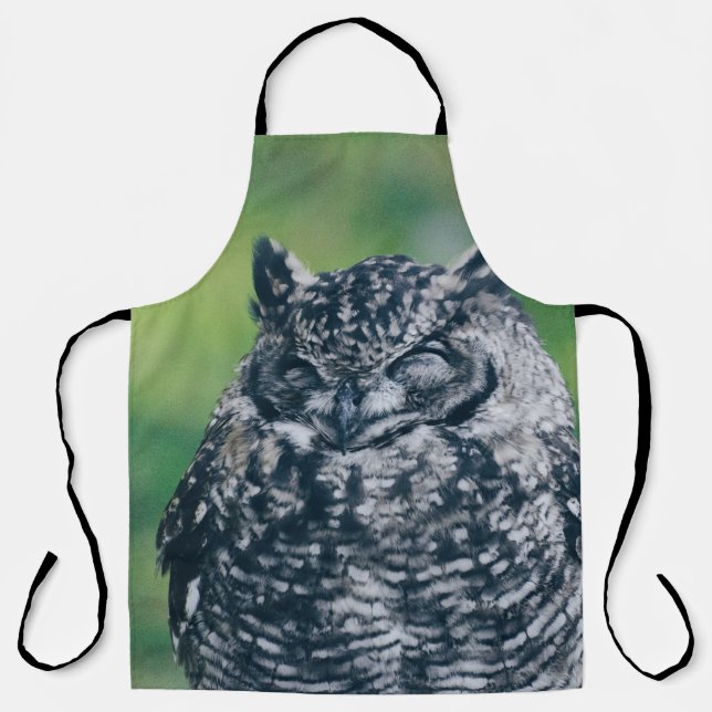 WILD OWL IN FRENCH FOREST APRON (Front)