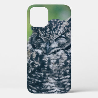 WILD OWL IN FRENCH FOREST iPhone 12 CASE