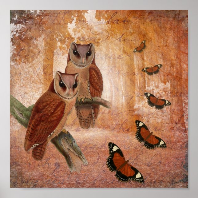 Wild Owls & Butterflies Poster (Front)
