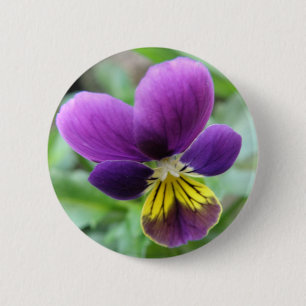 Wild Pansy Button