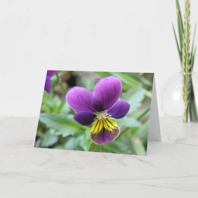 Wild Pansy Greeting Card (Front)