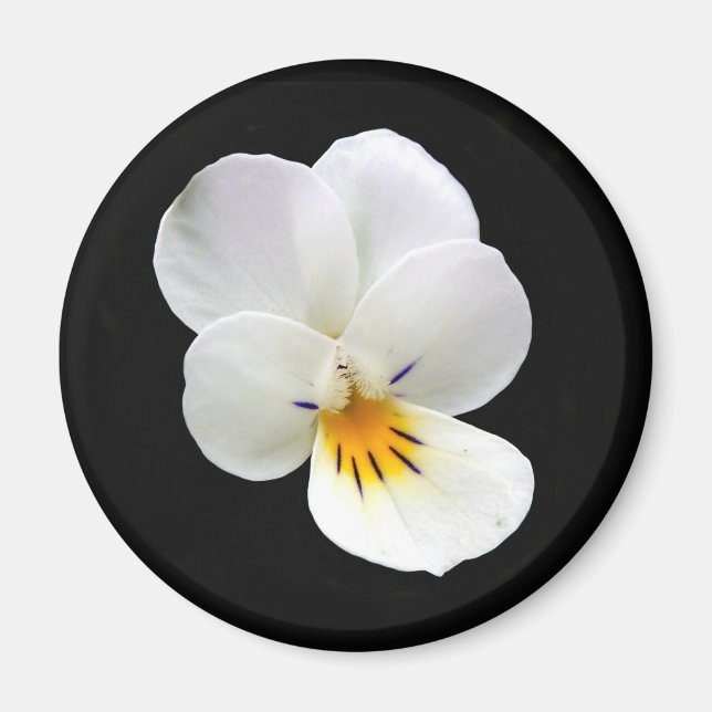 Wild Pansy Magnet (Front)