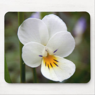 Wild Pansy Mouse Mat