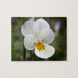Wild Pansy Photo Puzzle with Gift Box