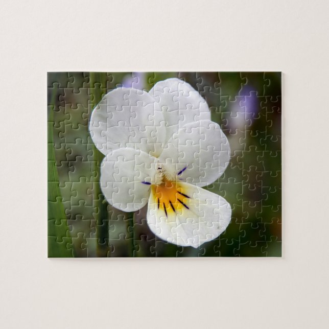 Wild Pansy Photo Puzzle with Gift Box (Horizontal)