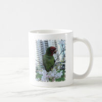 Wild Parrots of Telegraph Hill