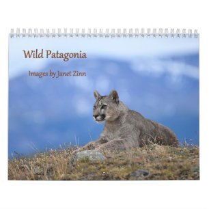 Wild Patagonia: Pumas and wildlife Calendar