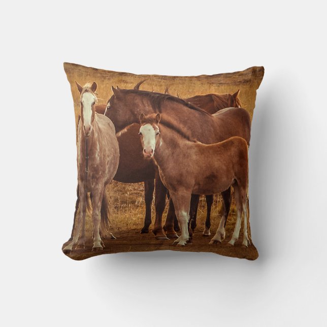 Wild Patagonia's Spirit Photography Cushion (Front)