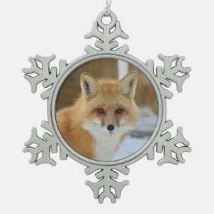 Wild Paws Alfalfa Snowflake Framed Ornament