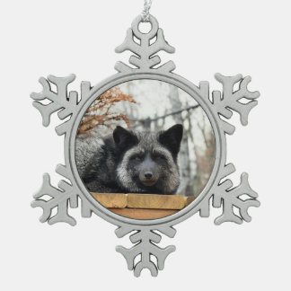 Wild Paws Aurora Snowflake Framed Ornament
