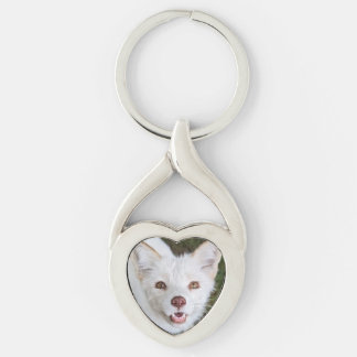 Wild Paws Coconut Metal Keychain