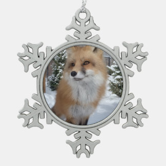 Wild Paws Finneas Snowflake Framed Ornament