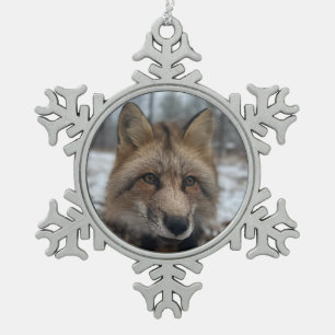 Wild Paws Flash Snowflake Framed Ornament