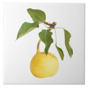 Wild pear tile