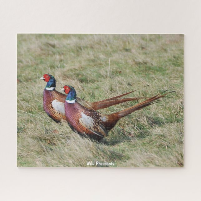 Wild  Pheasants Jigsaw Puzzle (Horizontal)