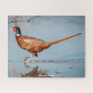 Wild  Phesant Jigsaw Puzzle