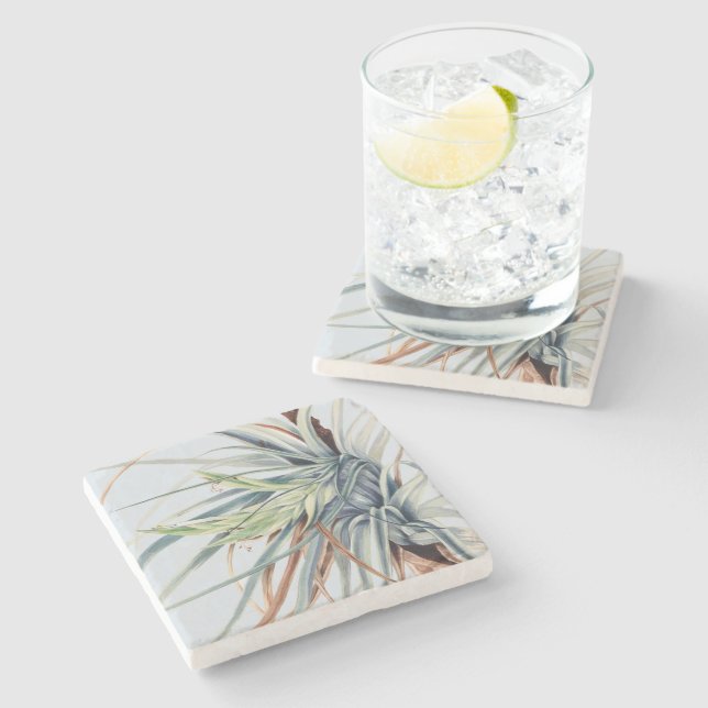 Wild Pineapple | by Mary Vaux Walcott 1921 Poster Stone Coaster (Side)