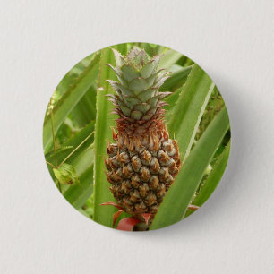 Wild Pineapple Tropical Fruit in Nature 6 Cm Round Badge