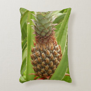 Wild Pineapple Tropical Fruit in Nature Decorative Cushion