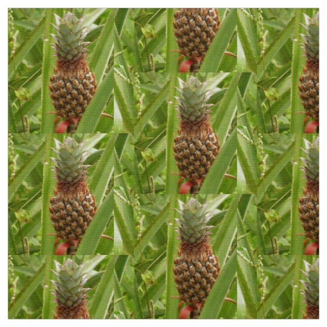 Wild Pineapple Tropical Fruit in Nature Fabric (Swatch)