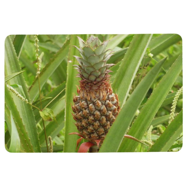 Wild Pineapple Tropical Fruit in Nature Floor Mat (Front)