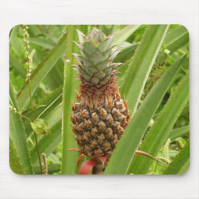Wild Pineapple Tropical Fruit in Nature Mouse Mat (Front)