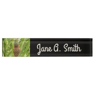 Wild Pineapple Tropical Fruit in Nature Nameplate