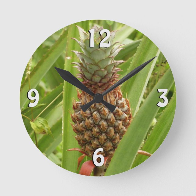 Wild Pineapple Tropical Fruit in Nature Round Clock (Front)