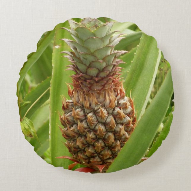 Wild Pineapple Tropical Fruit in Nature Round Cushion (Front)